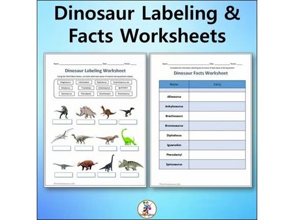 Dinosaur Labeling & Facts Worksheets - Science