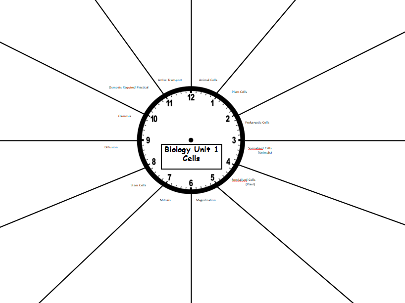 Biology Revision Clock At Sybil Downing Blog