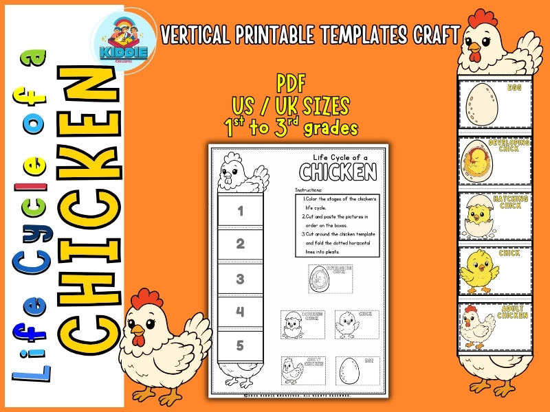 English Chicken Life Cycle Foldable Craft – Hands-On Science Activity