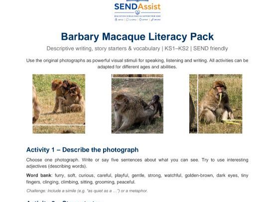 Barbary Macaque Literacy Pack | Descriptive Writing, Story Starters & Poetry | KS1–KS2