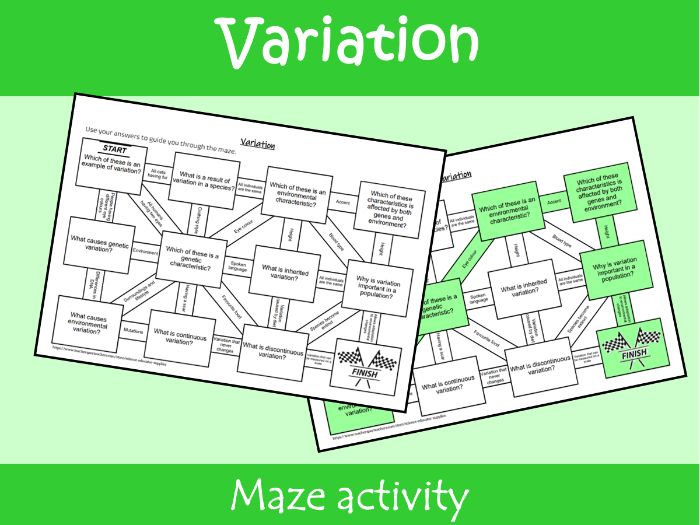 Variation Maze Worksheet | KS2–KS3 Science Revision Activity