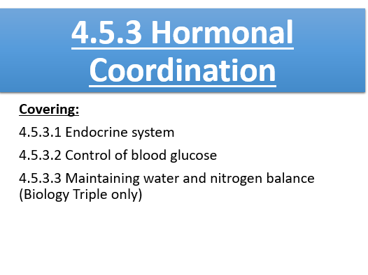 4.5.3 Hormonal Coordination in Humans