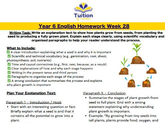 28. Year 6 - Creative Writing & Spelling