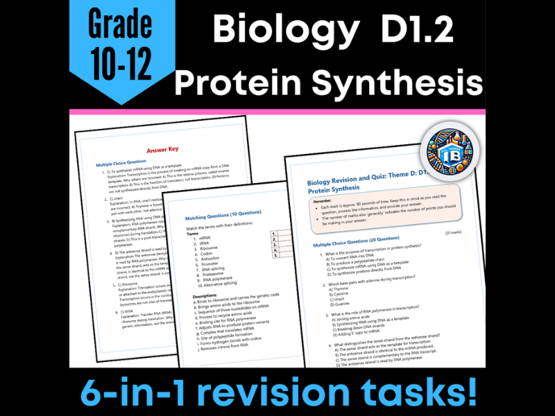 IB DP Biology D1.2 Protein Synthesis Quiz and Revision Worksheets 2026