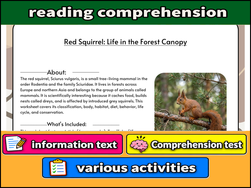 Red Squirrel: Life in the Forest Canopy  & Comprehension Test