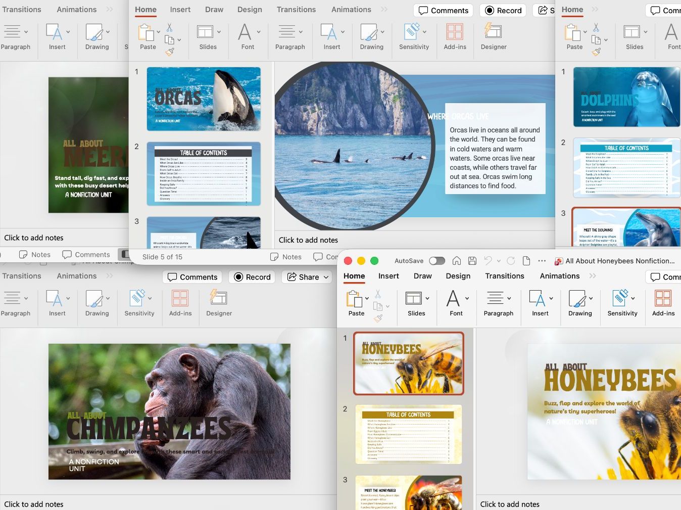 Animal Comprehension Bundle KS1 | Tigers, Dolphins, Pandas & More | SEND & GDS Reading Pack