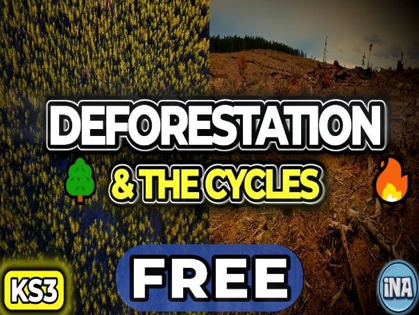 Deforestation and the Carbon and Water Cycles - FREE KS3 Biology Worksheet