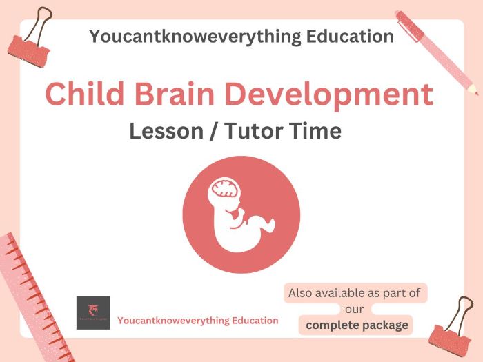 Child Brain Development PSHE Lesson