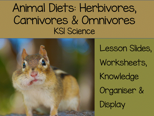 Animal diets: Carnivore, Herbivore and Omnivore KS1