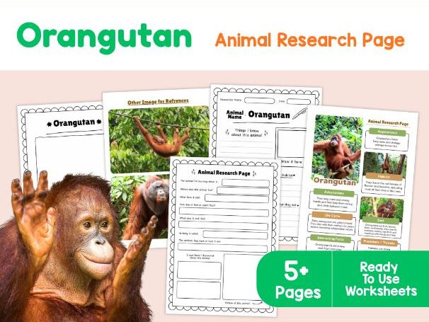 Orangutan Animal Research Page | Printable Science Worksheets