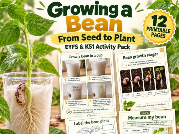 Growing a Bean Activity Pack | EYFS & KS1 | Seed Germination & Plant Growth