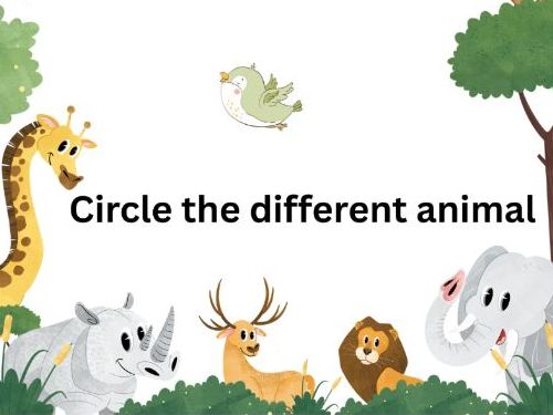 Circle the different animal-EYFS Worksheet