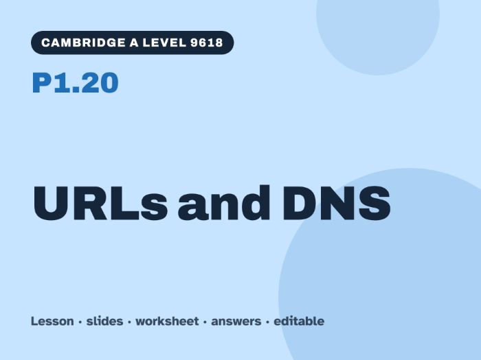 Cambridge A Level Computer Science 9618 – P1.20 URLs and DNS – Lesson & Worksheet