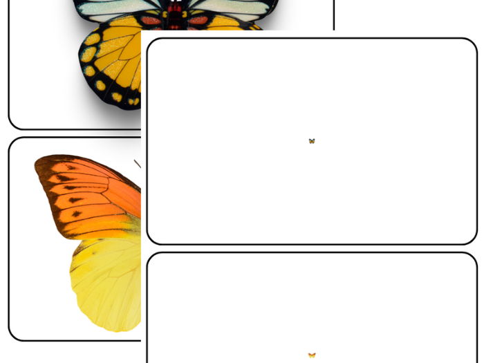 Butterfly Magnifying Glass Activity