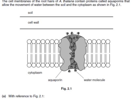 Complete Assessment, Revision & Vocabulary Pack: A-Level Biology – Biological Membranes