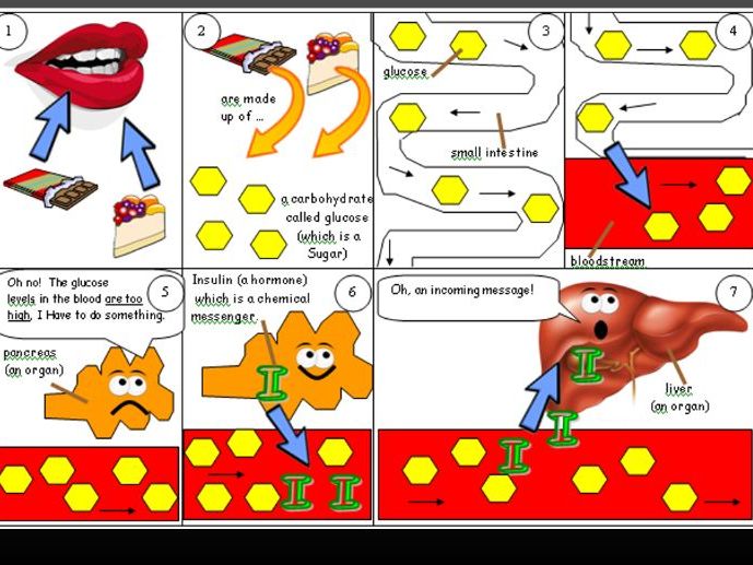 GCSE Biology : the  control of blood glucose levels