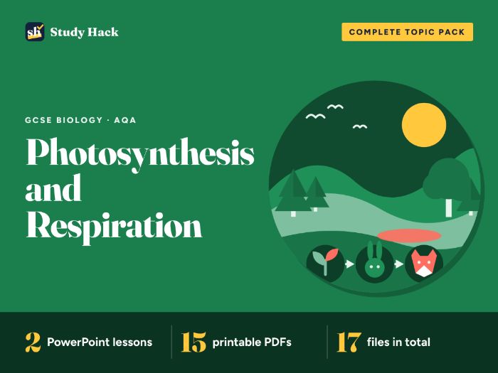 GCSE Biology Photosynthesis and Respiration Pack (AQA)