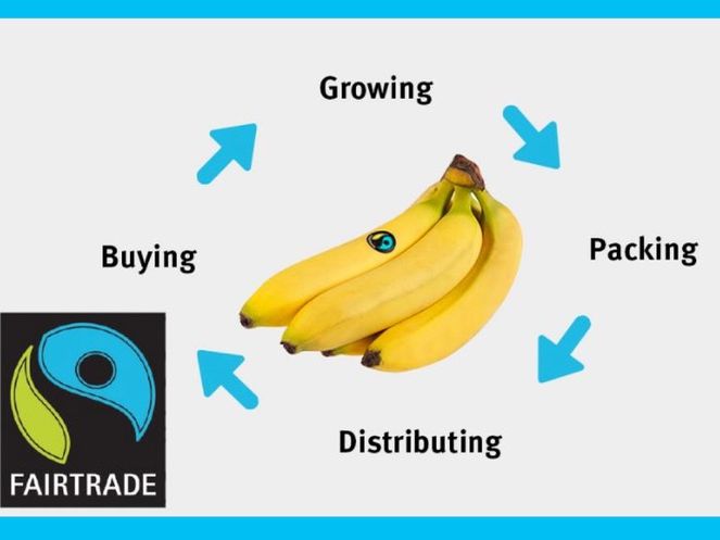 Year 3/4 Topic - Ethical Eating - Journey of a Banana