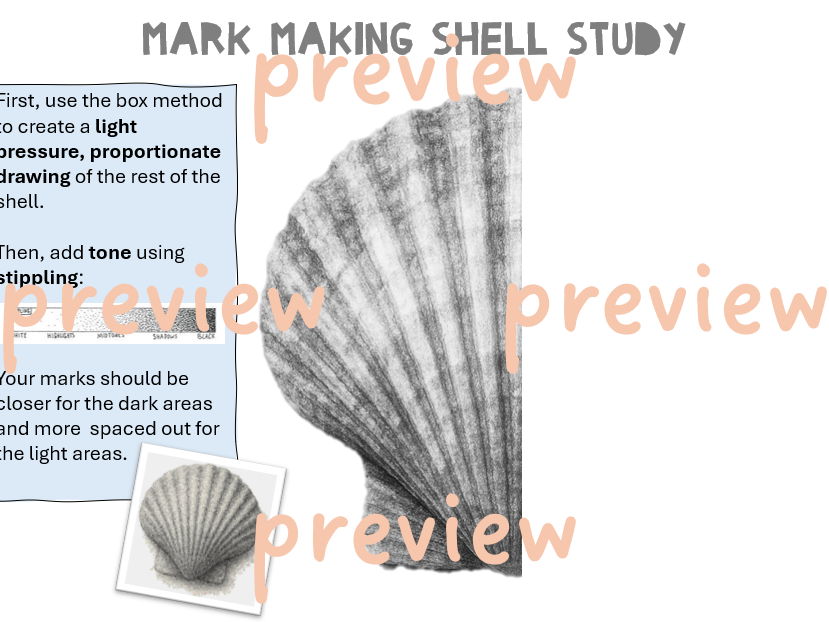 Sea Life - Mark Making Shell Study (symmetrical image)
