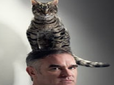 How to use gimp(using Morrissey and my cat)