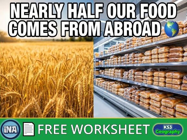 Food Production and Supply Chains - FREE KS3 Geography Worksheet