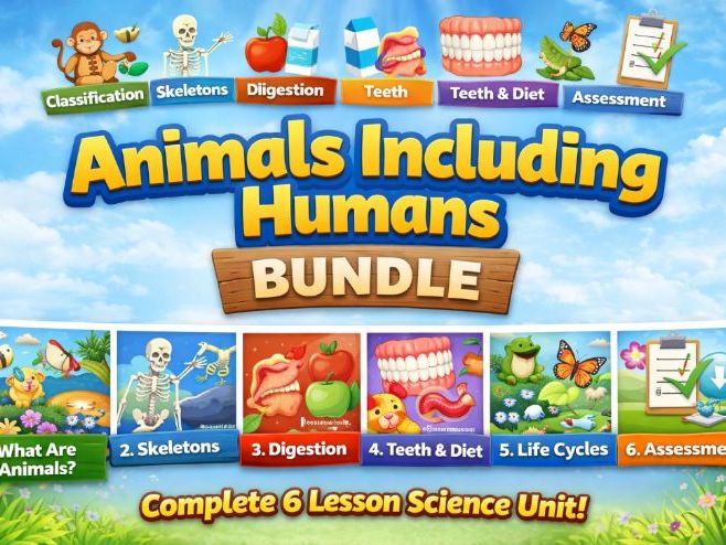 Animals Including Humans KS2 | Complete 6-Lesson Science Bundle