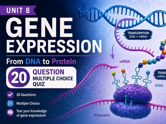 AQA A Level Biology Unit 8 Gene expression multiple choice questions ...