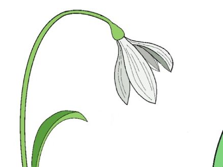 Flora title keyword for display or lesson activity