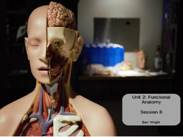 Functional Anatomy BTEC Nationals Sport and Exercise Science Unit 2 Lesson 8