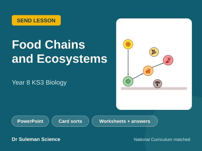 Food Chains and Ecosystems SEND Lesson KS3
