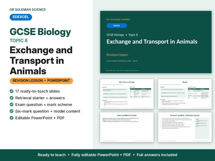 Edexcel GCSE Biology Topic 8 Exchange & Transport in Animals Revision Lesson