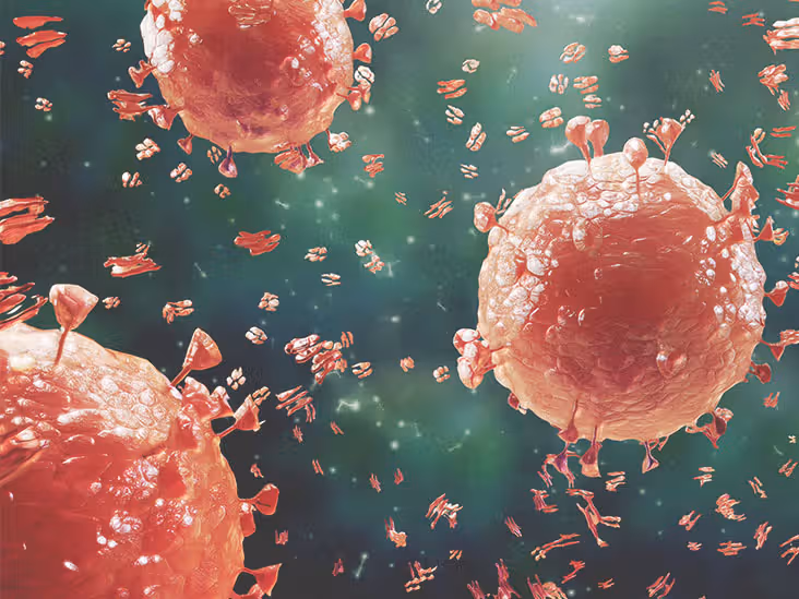 Cambridge A Level Geography  - 14.2 Pathogenic diseases, their spread and impacts