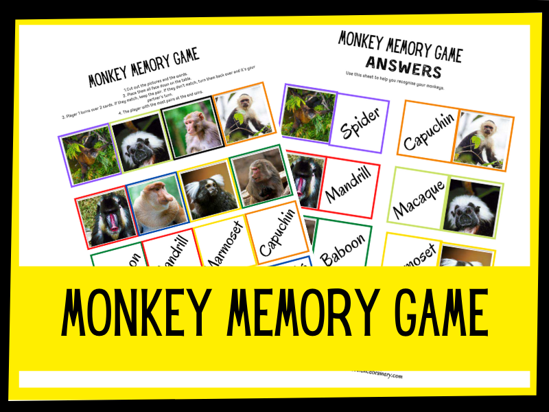 Monkey memory game KS1 KS2 Primary Science Teaching Resources
