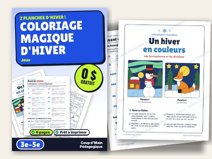 FREE French Winter Color by Code Homophones & Division | Coloriage magique