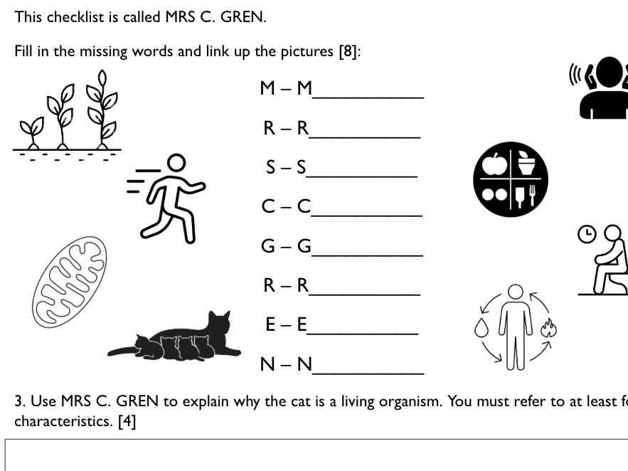 Biosheets: Characteristics of living things (MRS GREN)