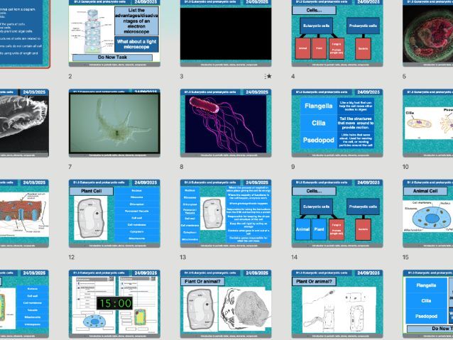 AQA GCSE Biology B1.3 – Eukaryotic and Prokaryotic Cells | Full Lesson, Worksheets & Answers