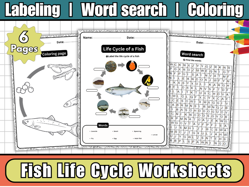Life Cycle of a Fish – Labeling Diagram, Worksheets & Coloring | Ocean Science Activity for Kids