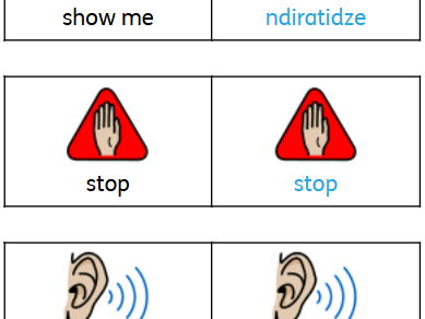 Lanyard dual language visual cards (english/shona)
