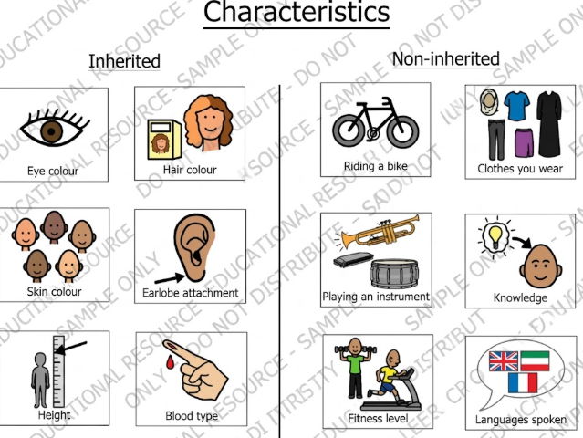Inherited and Non-inherited Characteristics I Science sorting activity I SEND