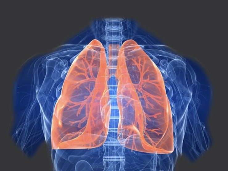 Respiratory System (GCSE)