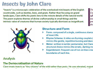 "Insects" by John Clare - Concise 1-Page Detailed Summary