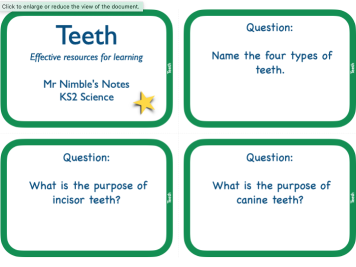 Teeth - Year 4 Questions and Answers Cards | Teaching Resources