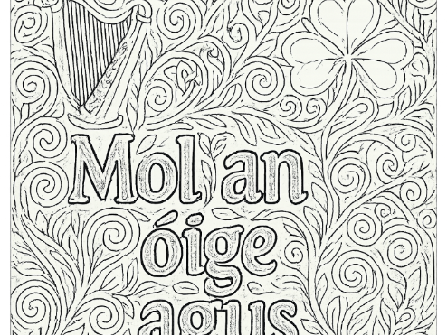 Gaeilge / Irish language colouring poster- praise the youth