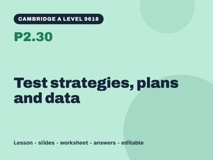 Cambridge A Level Computer Science 9618 – P2.30 Test strategies, plans and data – Lesson & Worksheet