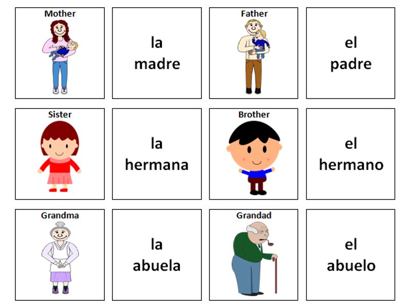 Family Spanish Vocabulary Card Sort Teaching Resources