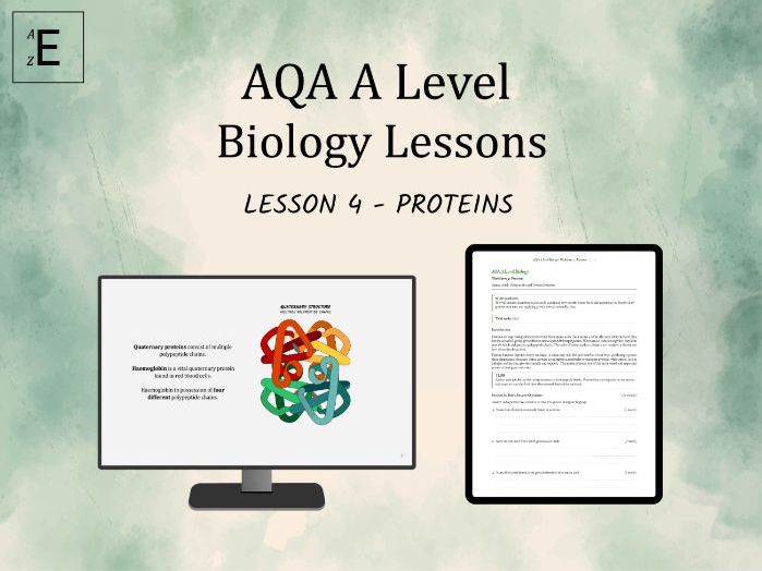 AQA A Level Biology Lesson 4 - Proteins
