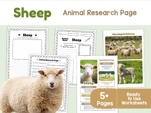 Sheep Animal Research Project | Farm Animal Science Worksheets