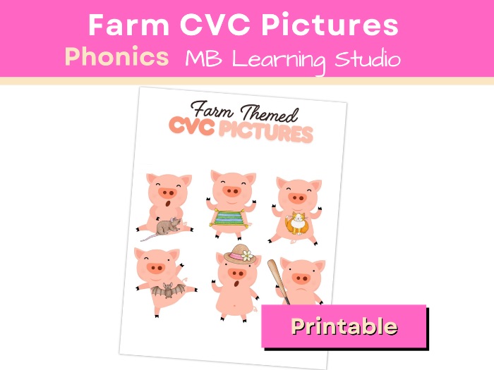 Pig CVC Pictures for EYFS | KS1 | Pre-K | Kindergarten