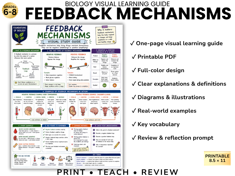 FEEDBACK MECHANISMS Biology Visual Learning Guide | Grade 8 & Middle School Science