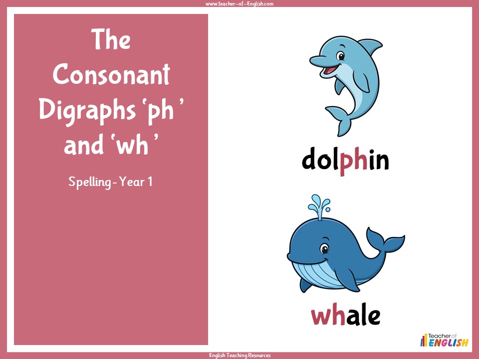 The Consonant Digraphs ph and wh - Year 1 Spelling